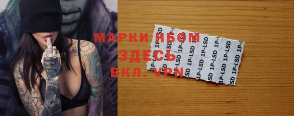 сатива Верхний Тагил