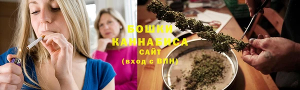 сатива Верхний Тагил
