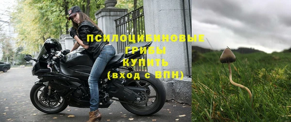 сатива Верхний Тагил