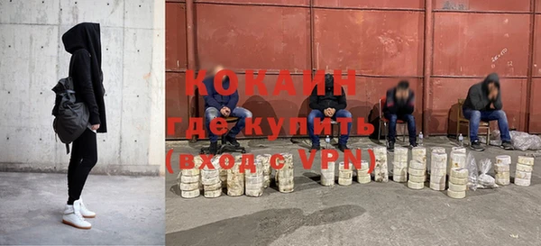 сатива Верхний Тагил