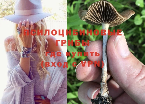 сатива Верхний Тагил